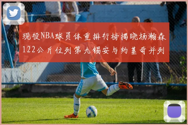 现役NBA球员体重排行榜揭晓杨瀚森122公斤位列第九锡安与约基奇并列第三