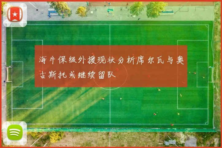 海牛保级外援现状分析席尔瓦与奥古斯托或继续留队
