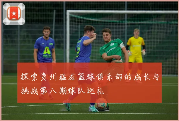 探索贵州猛龙篮球俱乐部的成长与挑战第八期球队巡礼