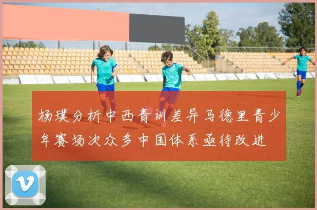 杨璞分析中西青训差异马德里青少年赛场次众多中国体系亟待改进