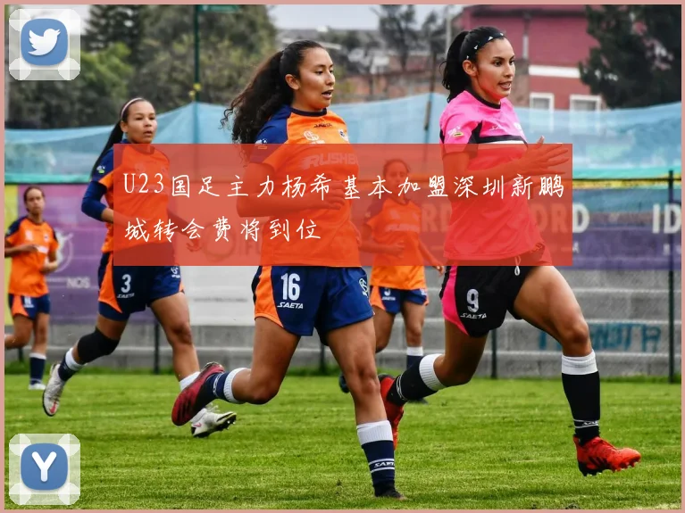 U23国足主力杨希基本加盟深圳新鹏城转会费将到位