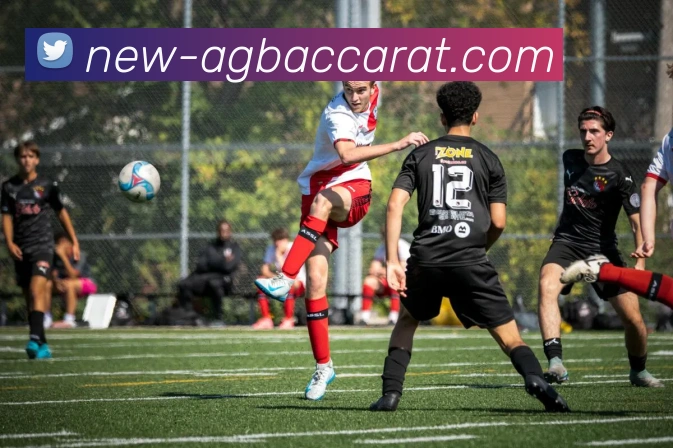 AG百家乐平台生态图